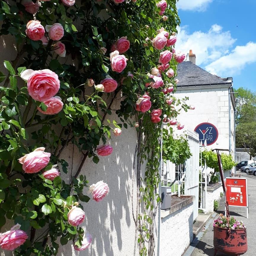 Logis Hotel Restaurant Relais De La Mothe Yzeures-sur-Creuse Экстерьер фото